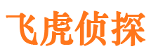 肃宁侦探公司